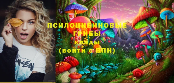 2c-b Верхнеуральск