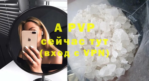 индика Сафоново